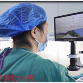 合肥毛囊检测相关长尾关键词有哪些