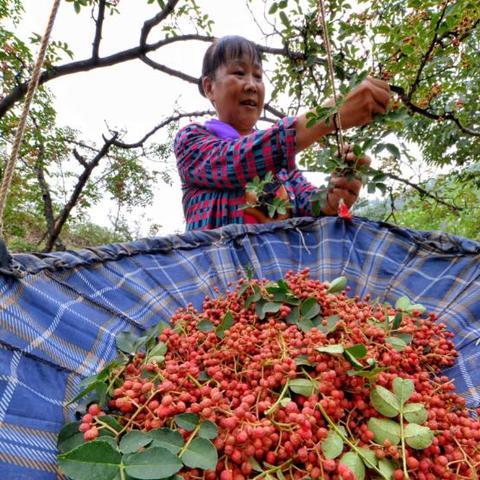 河北邯郸市涉县刘家的长尾关键词有什么