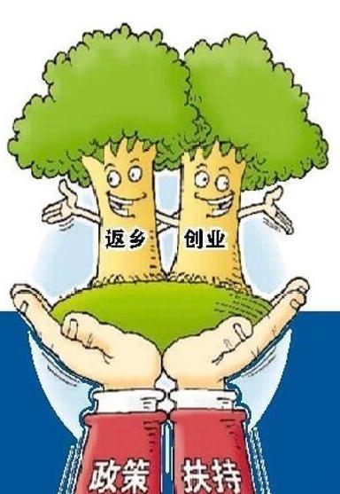 四川经济发展为返乡创业提供广阔舞台返乡创业农民工累计达68万人