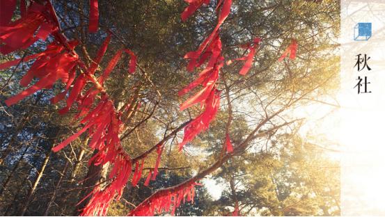 温原神角色怎么获得（有什么副业可以长久坚持做的）