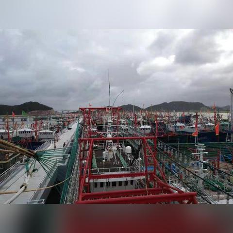宁波市第九中学怎么样