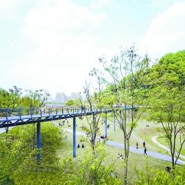 在武汉怎么坐车去南宁市