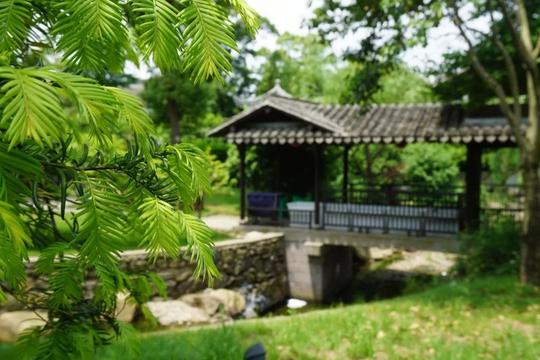 江浙沪3h度假圈内的冷门小山城，全是当地人私藏的宝藏玩法，比千岛湖还适合遛娃