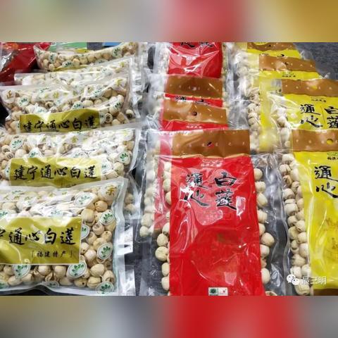 建宁白莲采摘季节？