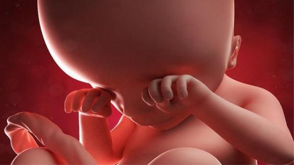 孕期怎样培养让宝宝有个好性格呢