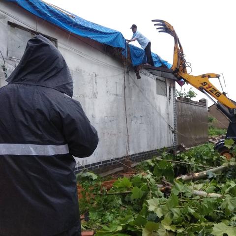 临沂市洋葱的长尾关键词有哪些