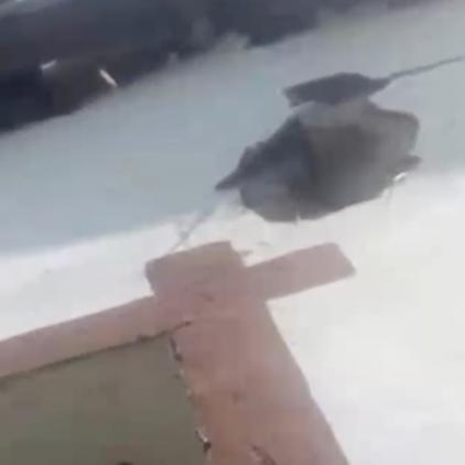 让雷劈到了会怎么样