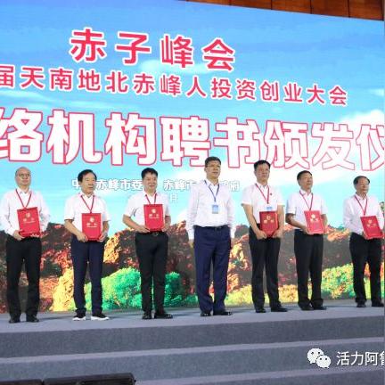 石家庄市通达学校在哪里