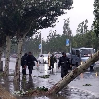 今天台风经过沈阳吗相关长尾关键词有哪些