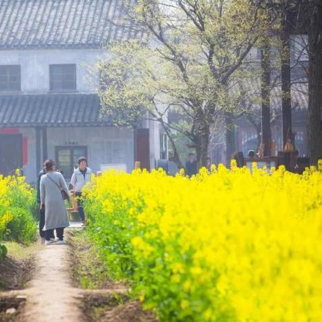 成都市民房价格表查询的长尾关键词有哪些