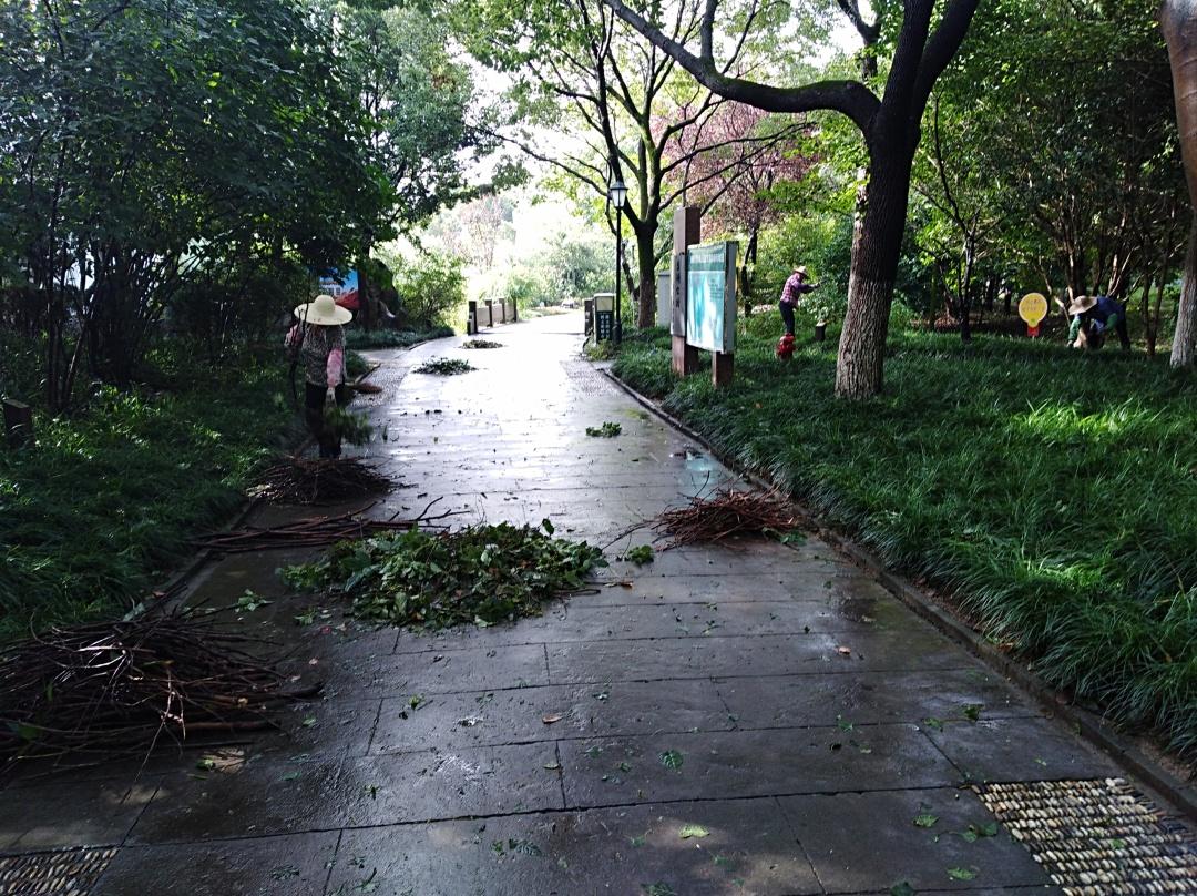 路灯交流供电设计方案路灯光控自动开关怎么接线