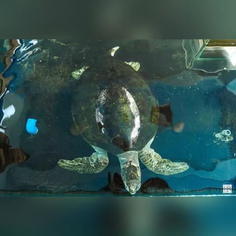 湖南长沙春节冷吗相关长尾关键词有哪些