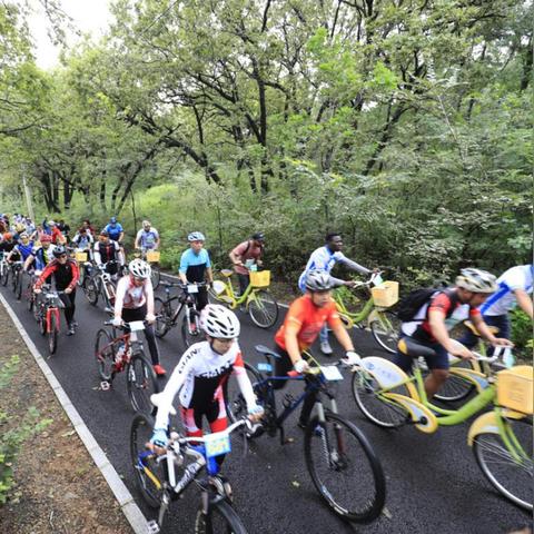 长春市昨天确诊人数多少