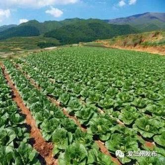 兰州市周边哪里凉爽一些