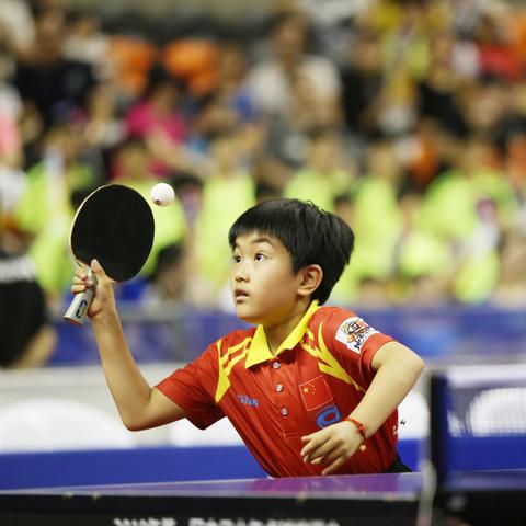 温州龙湾小学足球比赛的长尾关键词有什么