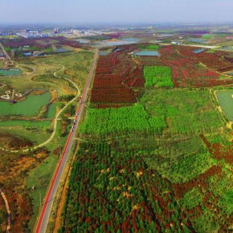 合肥市哪个镇人比较多