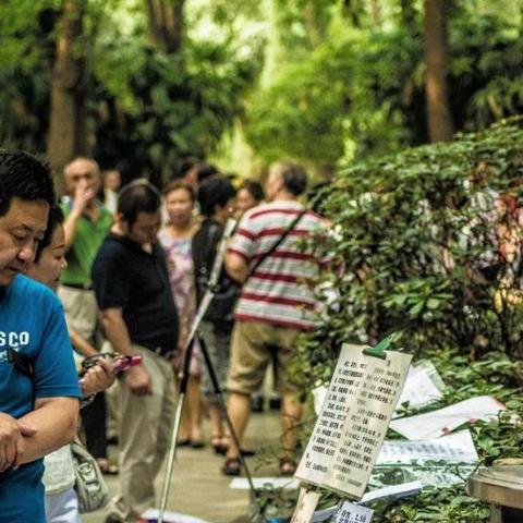 成都市公交车怎么收费的