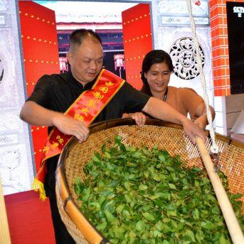 为什么很少有人养福建茶？
