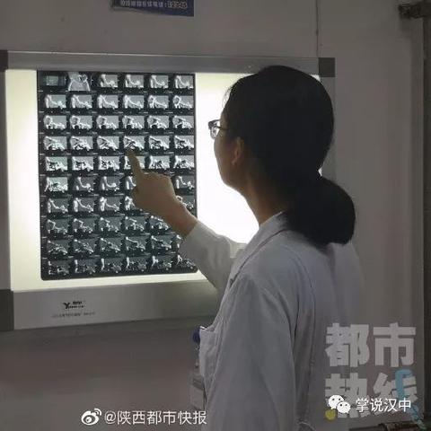 西安胶带相关长尾关键词有哪些