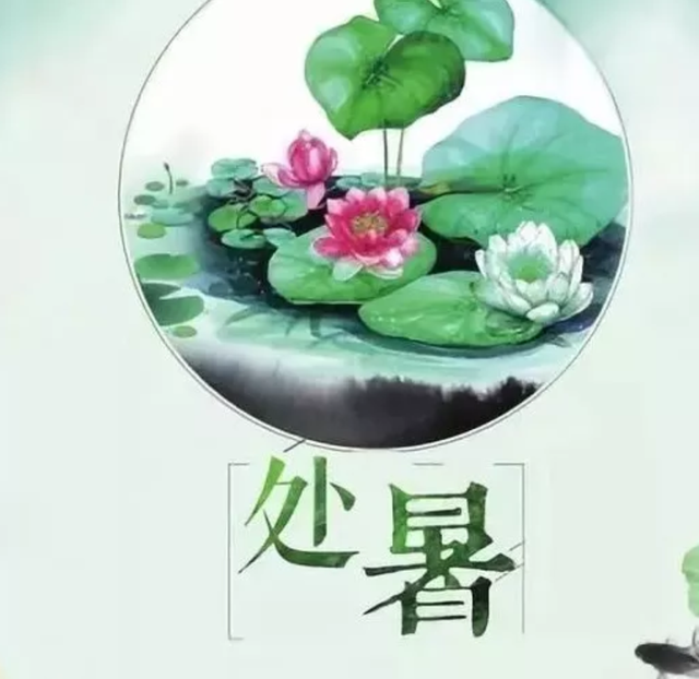 处暑节气早安心语图片文案大全2020