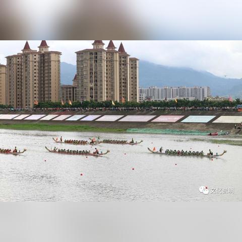 广东佛山市龙舟赛冠军的长尾关键词有哪些