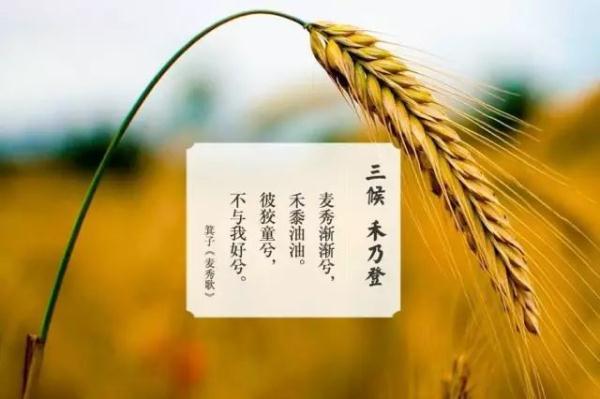 夏天再见秋天你好心情说说