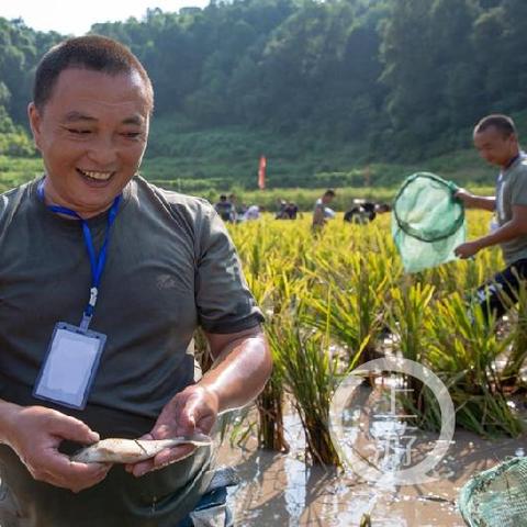 成都市稻田蛙火锅地址的长尾关键词有哪些