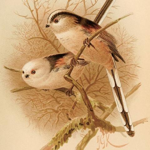 产品手绘需要什么工具百度长尾关键词有哪些