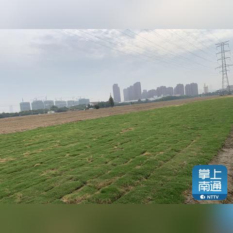 南通崇川拆迁办相关长尾关键词有哪些