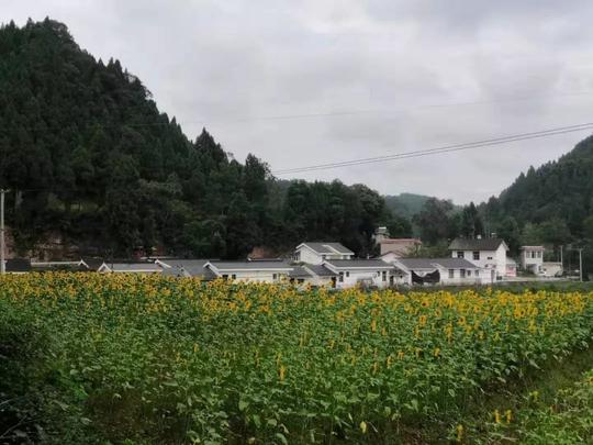 一图一故事|全市优秀农民工到枯井村学习绿色发展经验