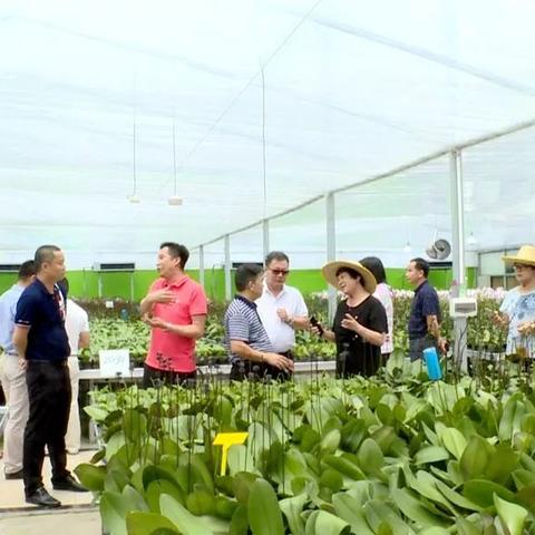 广东省佛山市财政局网站的长尾关键词有什么