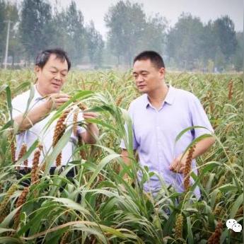 新野天气预报——洞悉未来天气变化，为您的生活出行提供精准指南-第1张图片-其人生活百科