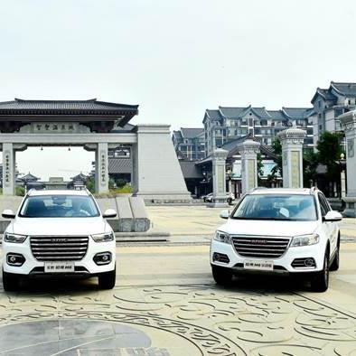 临沂市智胜教育的长尾关键词有哪些