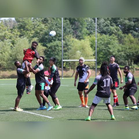 沈阳市是隶属于哪个省的