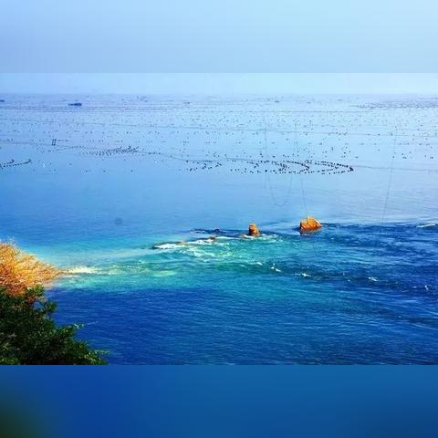 大连市海钓都是什么鱼