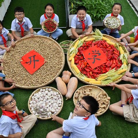 合肥9月1日能开学么？