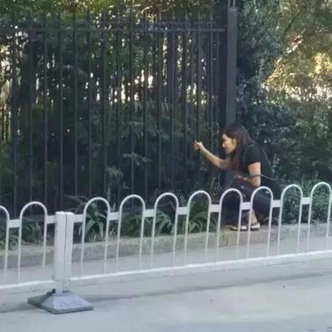 河北省石家庄市女子学院的长尾关键词有哪些