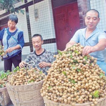 温州罗湾天气预报的长尾关键词有哪些