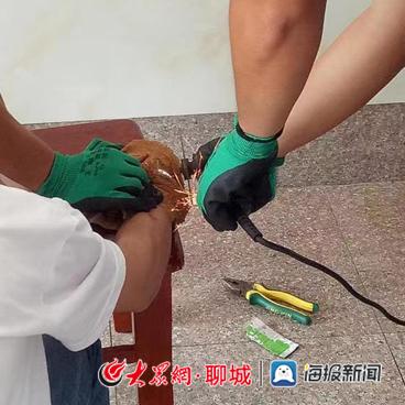 山东临清青年街道龙山街山水家园归哪儿管？