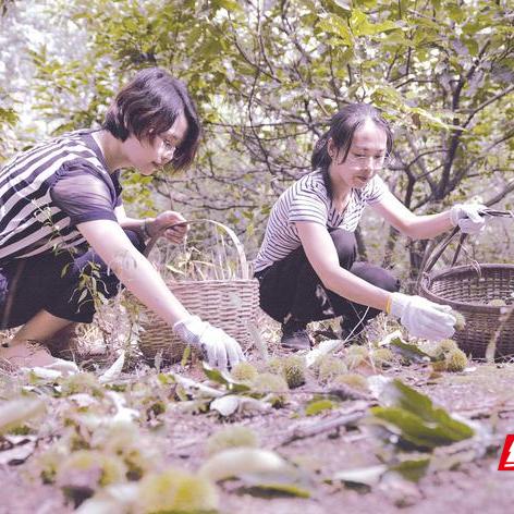 长沙有北山相关长尾关键词有哪些