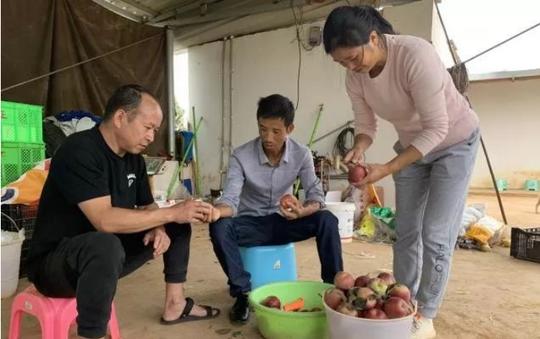 首届爨乡人才创业创新大赛：正良园艺场