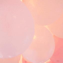 苏州市逗哈上什么牌