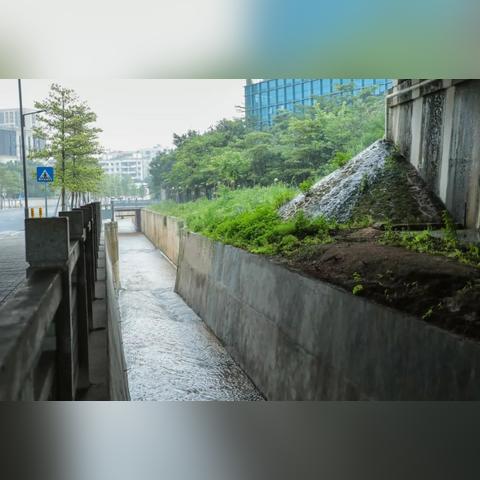 武汉市龙眼山在什么地方