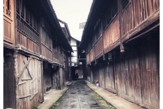 成都一座冷门古镇生长着11棵千年古榕树更有国宝级别的古塔