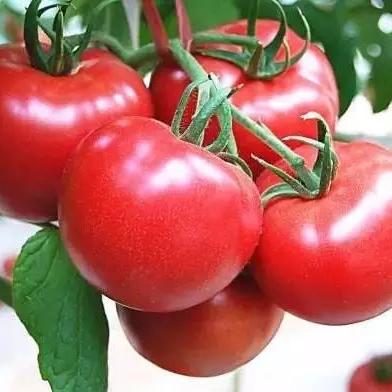 合肥市在哪里可以买到药