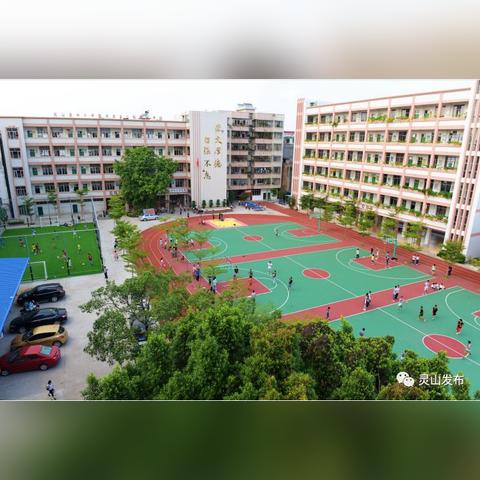 深圳市新洲高中怎么样啊