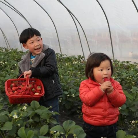 合肥市属山区小庙镇规划什么时候出台？