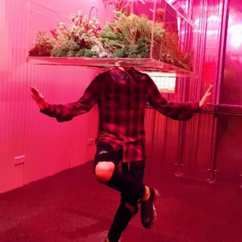 哈尔滨至广州特价机票相关长尾关键词有哪些