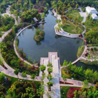 南通市哪里有桂花糕卖