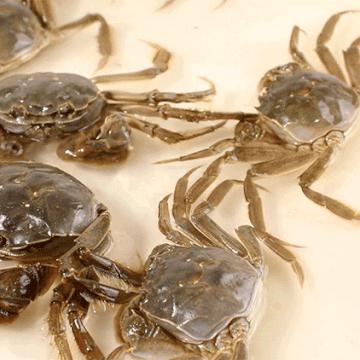 哈尔滨水质最好的区？